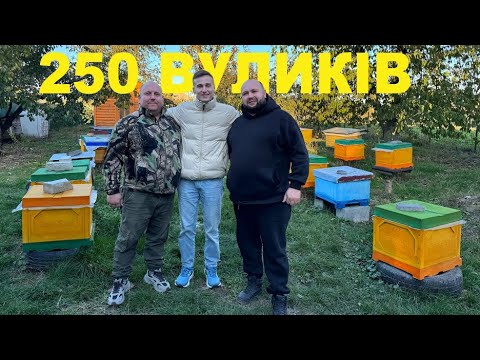 Видео: З 4 вуликів до масштабного виробництва. Пасіка Олега та Сергія "Медова лінія" Ч1.