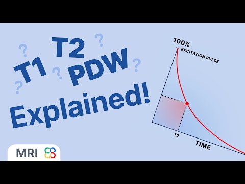 Видео: Объяснение T1, T2 и взвешивания плотности протонов — физика МРТ