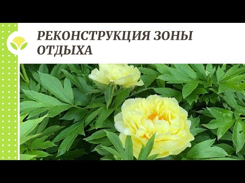 Видео: Реконструкция зоны отдыха