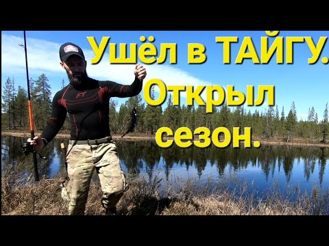 Видео: Один в ТАЙГЕ. Нашёл 2 избы , Рыбалка на Кольском. Маршрут в 20 км