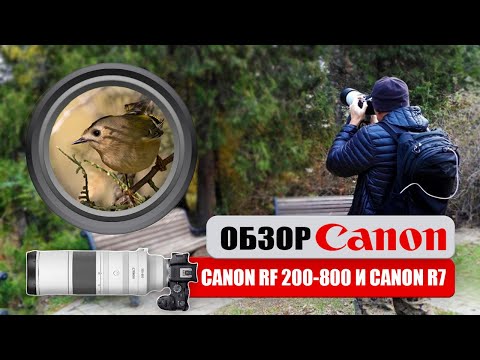 Видео: Обзор Canon RF 200-800. Опыт эксплуатации в паре с  Canon R7.