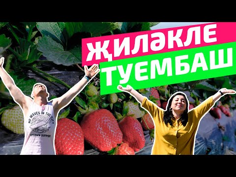 Видео: Тәгәрмәч №3 Туембаш (Уразкино)