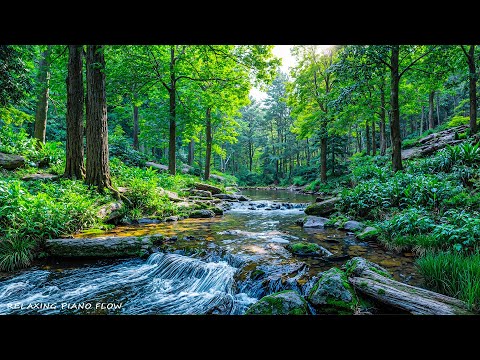 Видео: 🌿 Красивая расслабляющая музыка — перестаньте слишком много думать, успокойте разум и спите спокойн