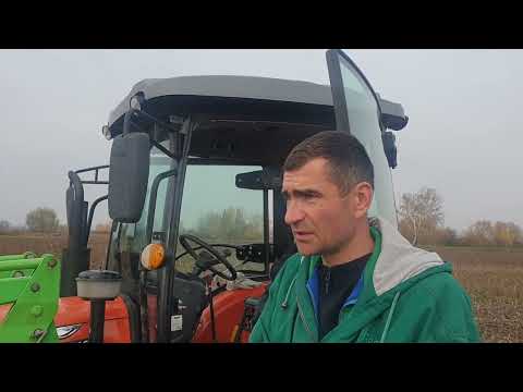 Видео: 31 октября 2022 г.