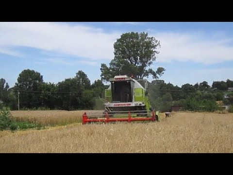 Видео: Молотьба 2025року.