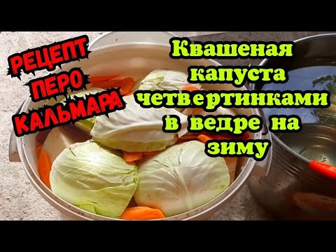 Видео: Квашеная капуста четвертинками в ведре на зиму рецепт перо кальмара