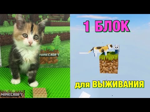 Видео: КАК ВЫЖИТЬ на 1 БЛОКЕ в МАЙНКРАФТ вместе с КОТЁНКОМ ?🧩🙀😱