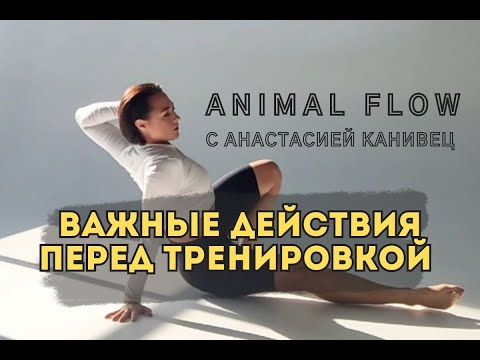 Видео: Animal Flow 1 И 2 КОМПОНЕНТ