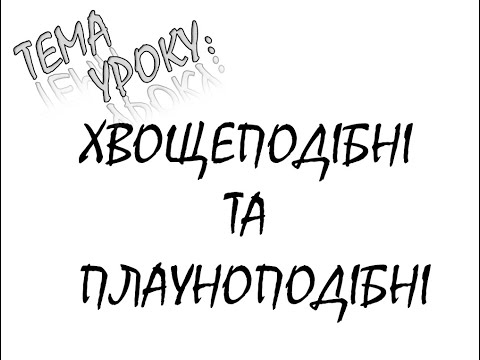 Видео: ХВОЩЕПОДІБНІ ТА ПЛАУНОПОДІБНІ (ХВОЩІ ТА ПЛАУНИ)