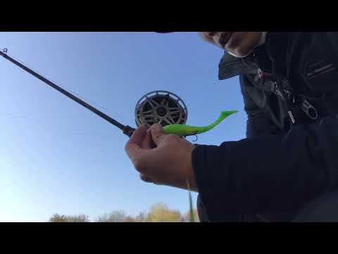 Видео: *тест* Знакомство с НЕВСКОЙ КАТУШКИ