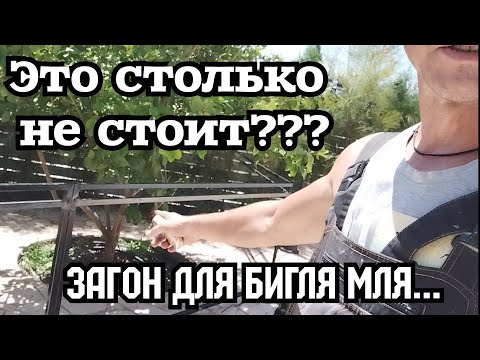 Видео: За эти деньги можно было конюшню построить! Сварка.
