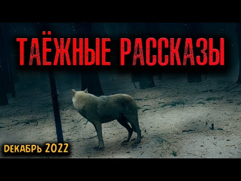 Видео: ТАЁЖНЫЕ РАССКАЗЫ | Страшные истории