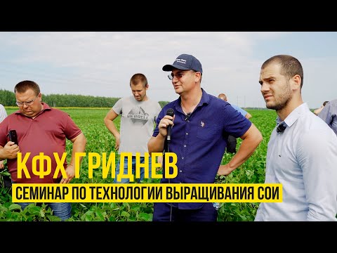 Видео: КФХ ГРИДНЕВ | Семинар по технологии выращивания сои 2021 (расширенная версия)