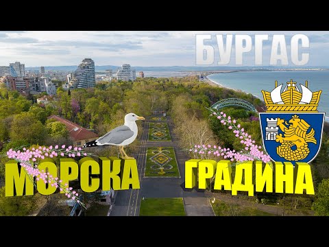 Видео: Морската градина в Бургас 🌸🌺🌷🌼🌳🌿🌊