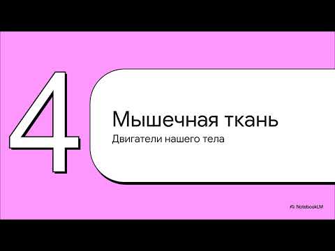 Видео: § 2. Эпителиальная и мышечная ткани