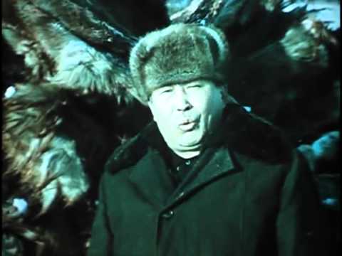 Видео: Фитиль, выпуск № 184 (1977) смотреть онлайн