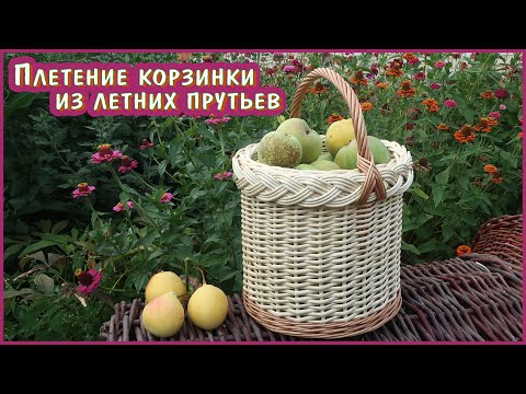 Видео: Плетение корзинки из сокового белого прута ивы. СВЕТЛАЯ, БЕЛАЯ, НАРЯДНАЯ.