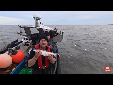 Видео: Сюрприз: морская форель! Ищем сельдь в глубине. Дрифтовая рыбалка с лодки на берегу.