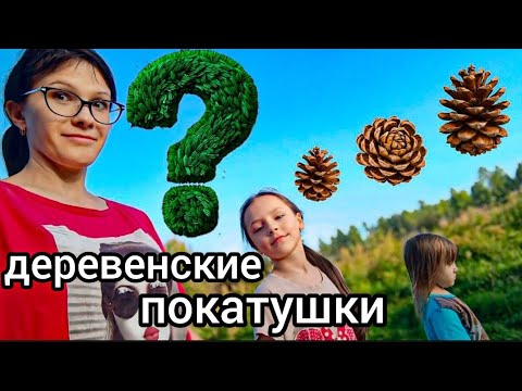 Видео: Впервые слышу... Найдем ли Керд? в Пионерском... VLOG