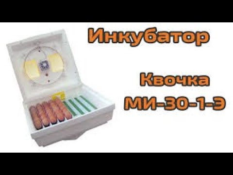 Видео: КВОЧКА МИ-30-1-Э.ОБЗОР.ОТЗЫВ ВСЕ ЗА И ПРОТИВ. ЛУЧШИЙ ИНКУБАТОР КОТОРЫЙ ВАМ НУЖЕН !!4 квітня 2020 р.