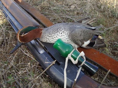 Видео: ОХОТА на ЧИРКА свистунка ОСЕНЬЮ 2020 + рецепт жареного чирка! ЕЛЕ ВЫГРЕБ из ТРЯСИНЫ на ЛОДКЕ!!!