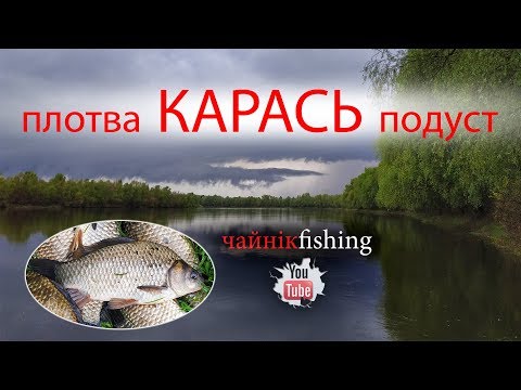 Видео: Полное видео. Десна, Боденьки. Рыбалка с ночевкой 7-8 мая 2019, крупный карась.