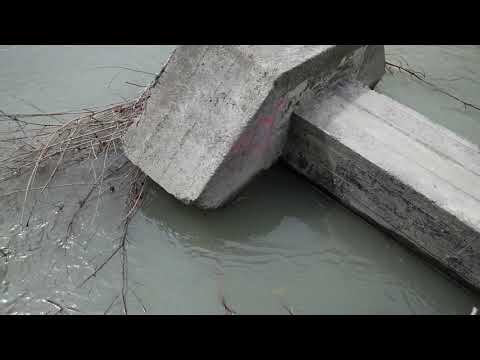 Видео: Горноалтайские влоги. База отдыха "Глобус Плюс"