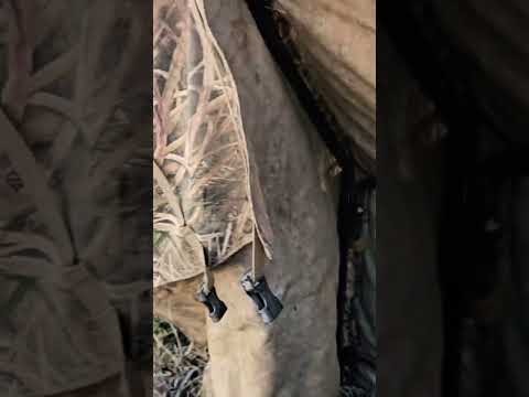 Видео: #hunting #охота #полювання #охотанауток #nature #duck #duckhunting #goosehunting #goose #охотавидео