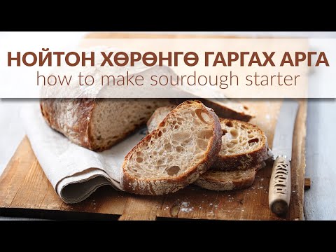 Видео: Нойтон хөрөнгө гаргах арга | How to make sourdough starter