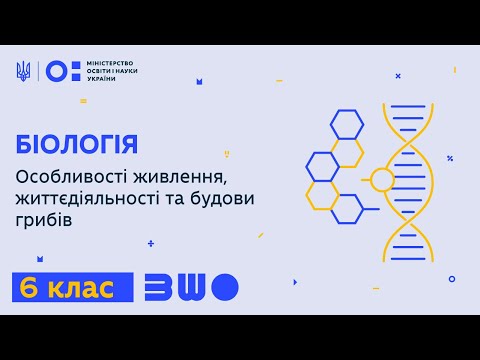 Видео: 6 клас. Біологія. Особливості живлення, життєдіяльності та будови грибів