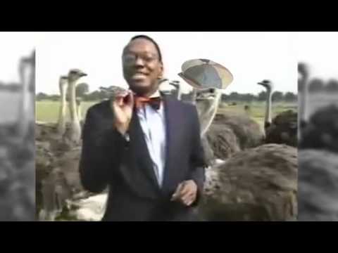 Видео: +100500 на ТВ - 67 выпуск