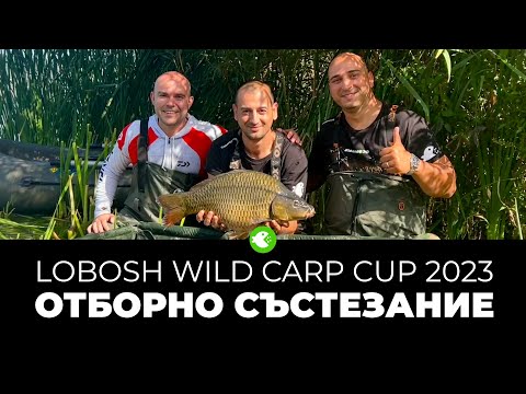 Видео: ТРЕТО МЯСТО ЗА #teamMOJO - LOBOSH WILD CARP CUP 2023