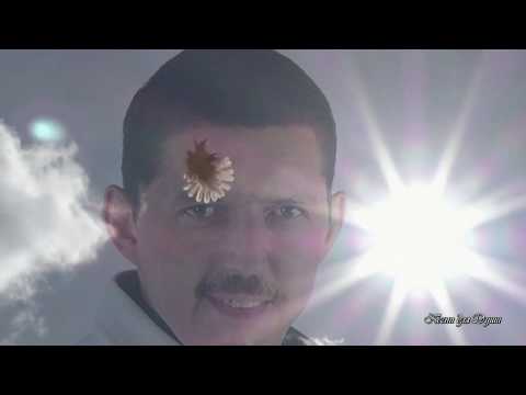 Видео: Аркадий Кобяков Птицы