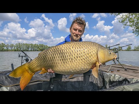 Видео: 100+ кг за добу!!! Скажене клювання на Вовкове озеро. Відео звіт з риболовлі.