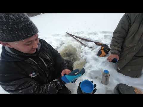 Видео: Мунха АЛРОСА 2025