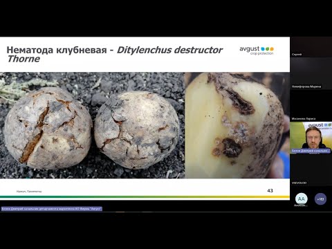 Видео: Картофель без потерь. Вебинар по защите картофеля