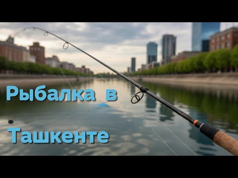 Видео: Рыбалка в Чиланзаре Ок-Тепа