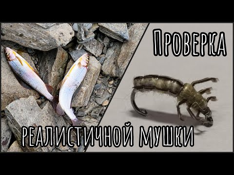 Видео: Проверка реалистичной мушки-ручейник. Есть ли смысл вязать такие мушки? Завершаю сезон рыбалки 2023г