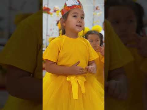 Видео: 5 ноября 2025 г.