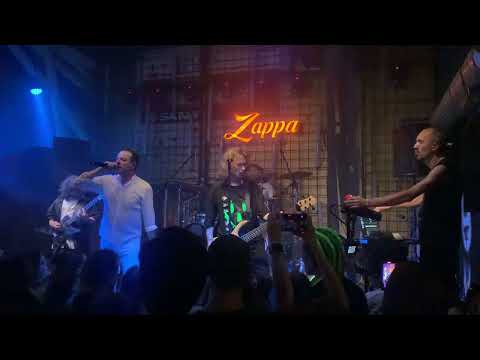 Видео: Animal ДжаZ — Этажи (Zappa Baza, Белград, 30.04.2025)