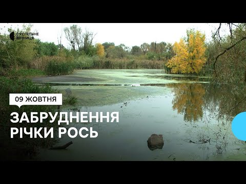 Видео: Екологи та науковці б'ють на сполох: чому річка Рось, що на Вінниччині, може зникнути