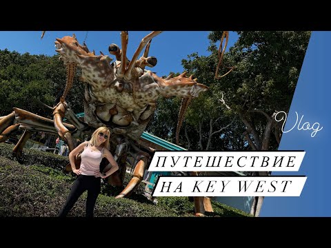 Видео: Vlog: 🇺🇸АМЕРИКА СЕГОДНЯ 🫶ПУТЕШЕСТВИЕ НА KEY WEST 2024