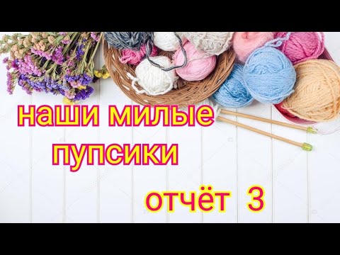 Видео: СП "Наши милые пупсики " // отчёт 3 