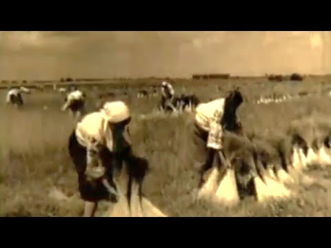 Видео: " Чебреці " (Пропливе у полях надвечір'я...)