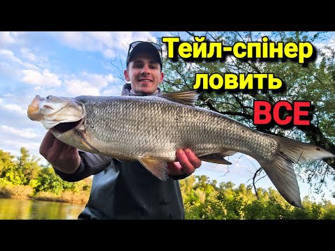 Видео: Як Ефективно Ловити на Тейл-спінер❓ Тейл-спінер ЛОВИТЬ ВСЕ!✅