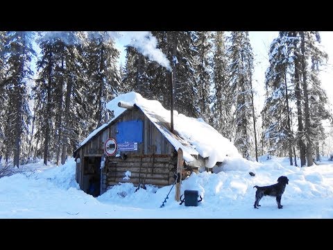 Видео: Четыре дня в тайге. Лесная изба. Рыбалка. Таёжный быт