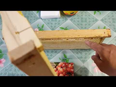 Видео: Сколько мëда в нашей рамке. Опять о нестандартной рамке.