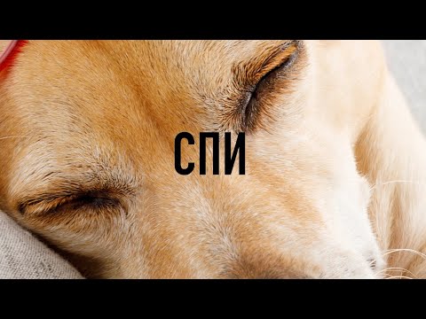 Видео: СПИ С БИБЛИЕЙ: Покой в Священных Писаниях