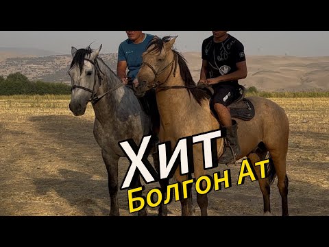 Видео: Хит болгон Ат +996-501-180-170. 