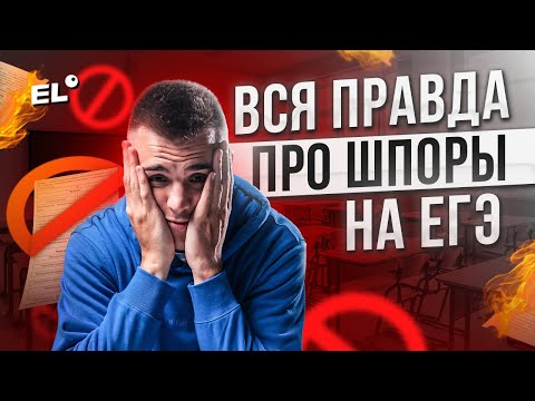 Видео: ВСЯ ПРАВДА ПРО ШПОРЫ ЕГЭ ОБЩЕСТВОЗНАНИЕ 2026 | Санчес Обществознайка EL